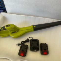 Cordless Blower with 2 Batteries and Charger