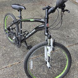 Schwinn Boys 20 Inch Bike