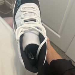 Jordan Concord 11’s Size 12 