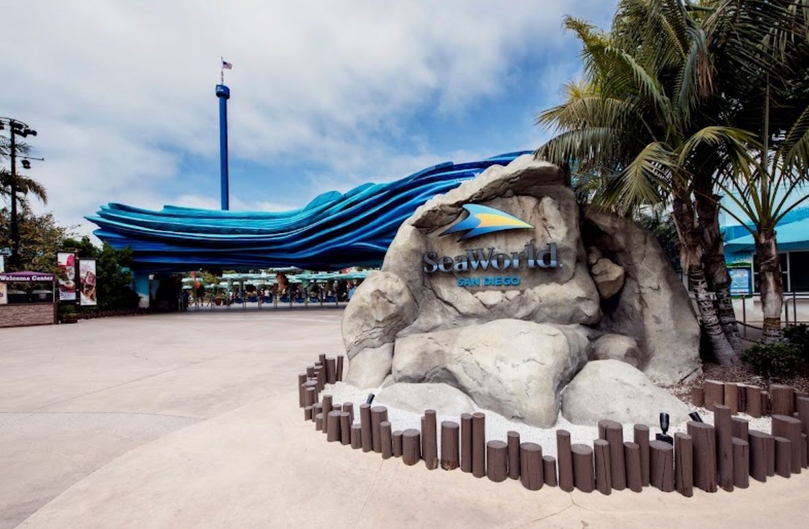 San Diego SeaWorld Ticket Great Bargain 