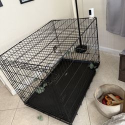 I Have 2 Dog Cages