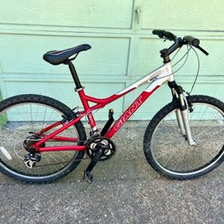 Giants Bike 26"