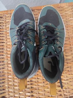Nike Michigan state shoes size M9/W 10.5