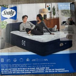 ealy Air Mattress Queen with Built-in Headboard