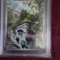 Psa10 Floragato