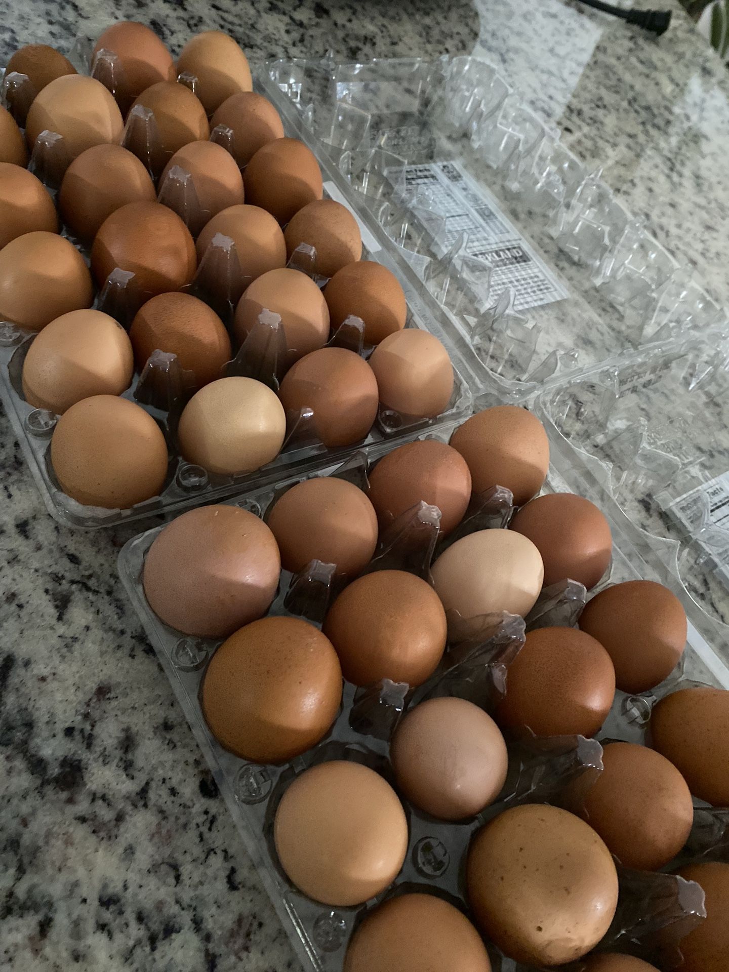 Fresh Farm EGGS