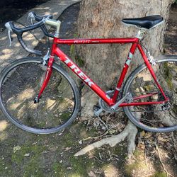Carbon Fiber Trek Road Bike 