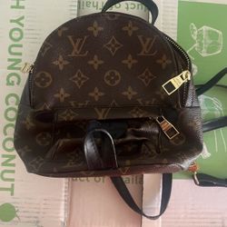 Louis Vuitton Palm Springs Mini