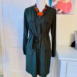 Banana Republic Olive Shirt Dress size 6