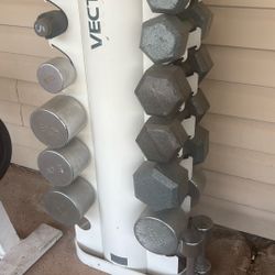 Weight Holder and Weights
