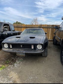 1973 Mustang 
