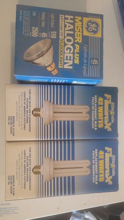 Outdoor Bulbs