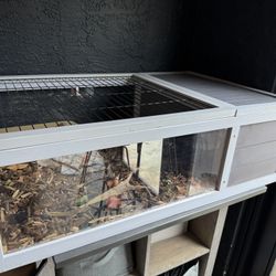 Tortoise Enclosure 