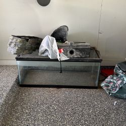 Aquarium With Accessories 