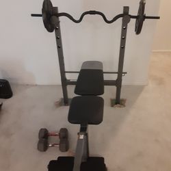 Golds Gym Weight Bench With Curl Bar And Weights. 25 Lbs Dumb Bells.