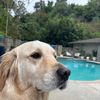 Zac