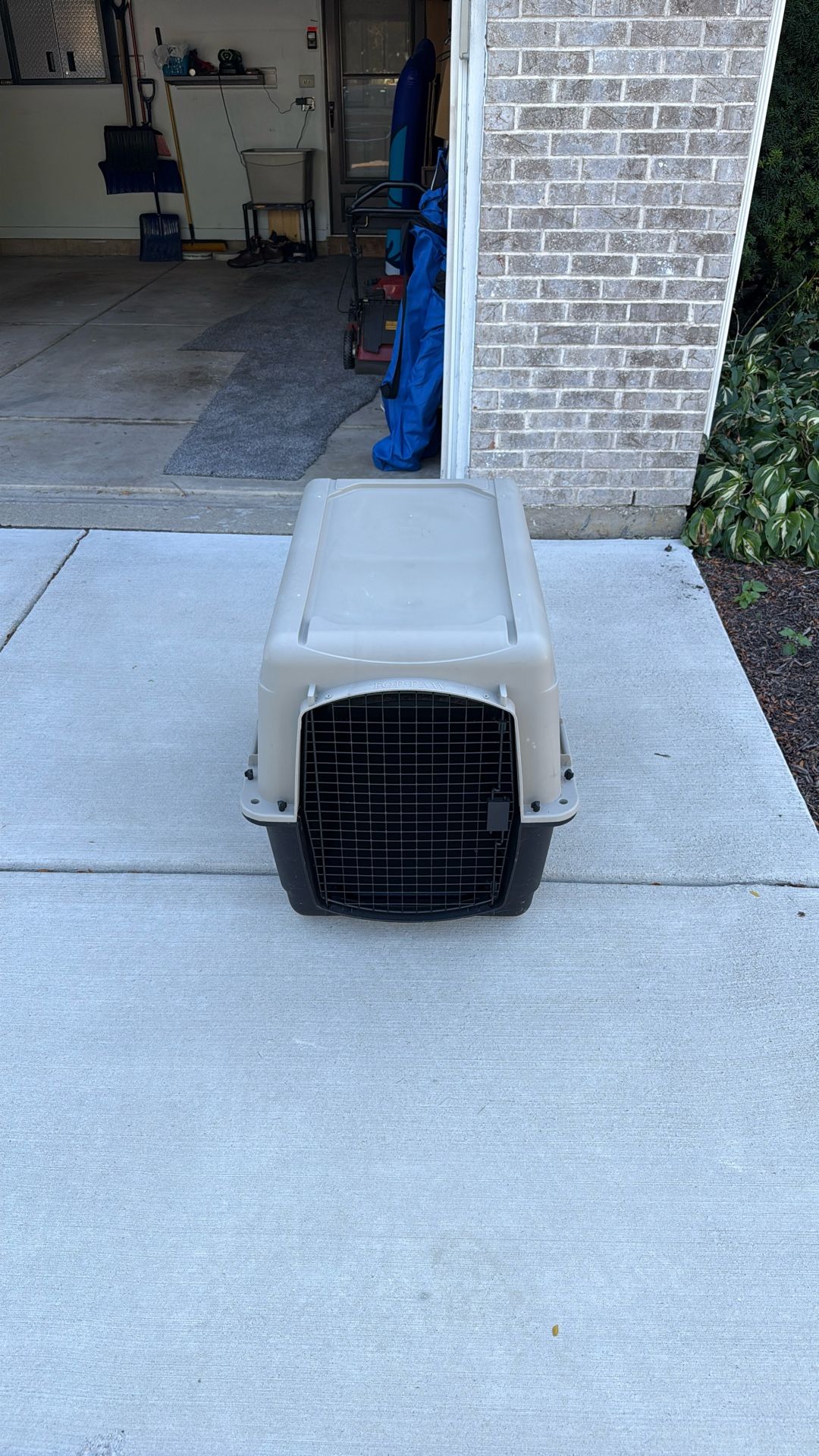 Dog Cage 