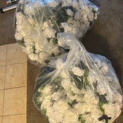 Rose morning Flower Wall And Stand Set! ( WHITE ROSES 8ft X 8ft)