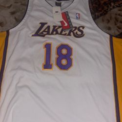 Sasha Vujačić Jersey