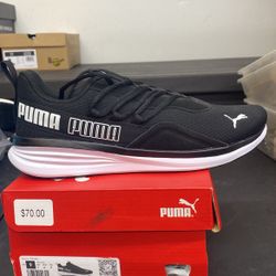 Brand New Puma Sneakers