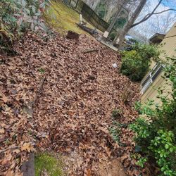 Leaf Removal And Clean Out 