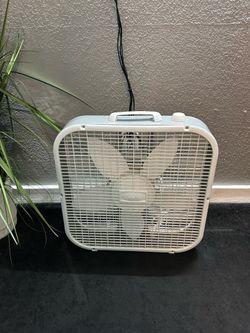 White Fan