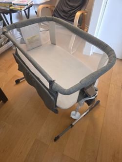 Baby Delight Bassinet