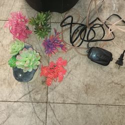 Fish Tank Decorations 