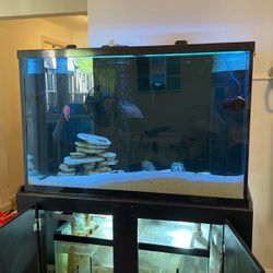 150 Gal Fish Tank With Sump Filter