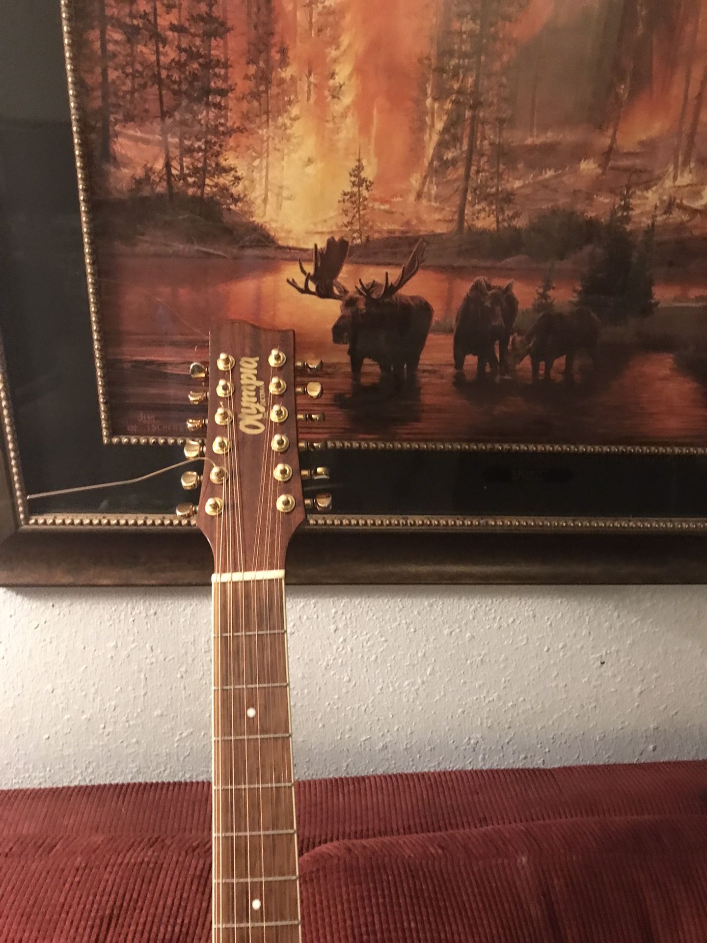 12 String Olympia Acoustic Guitar