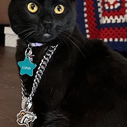 Silver Denver Bronco Chain Pendant W/ Necklace 