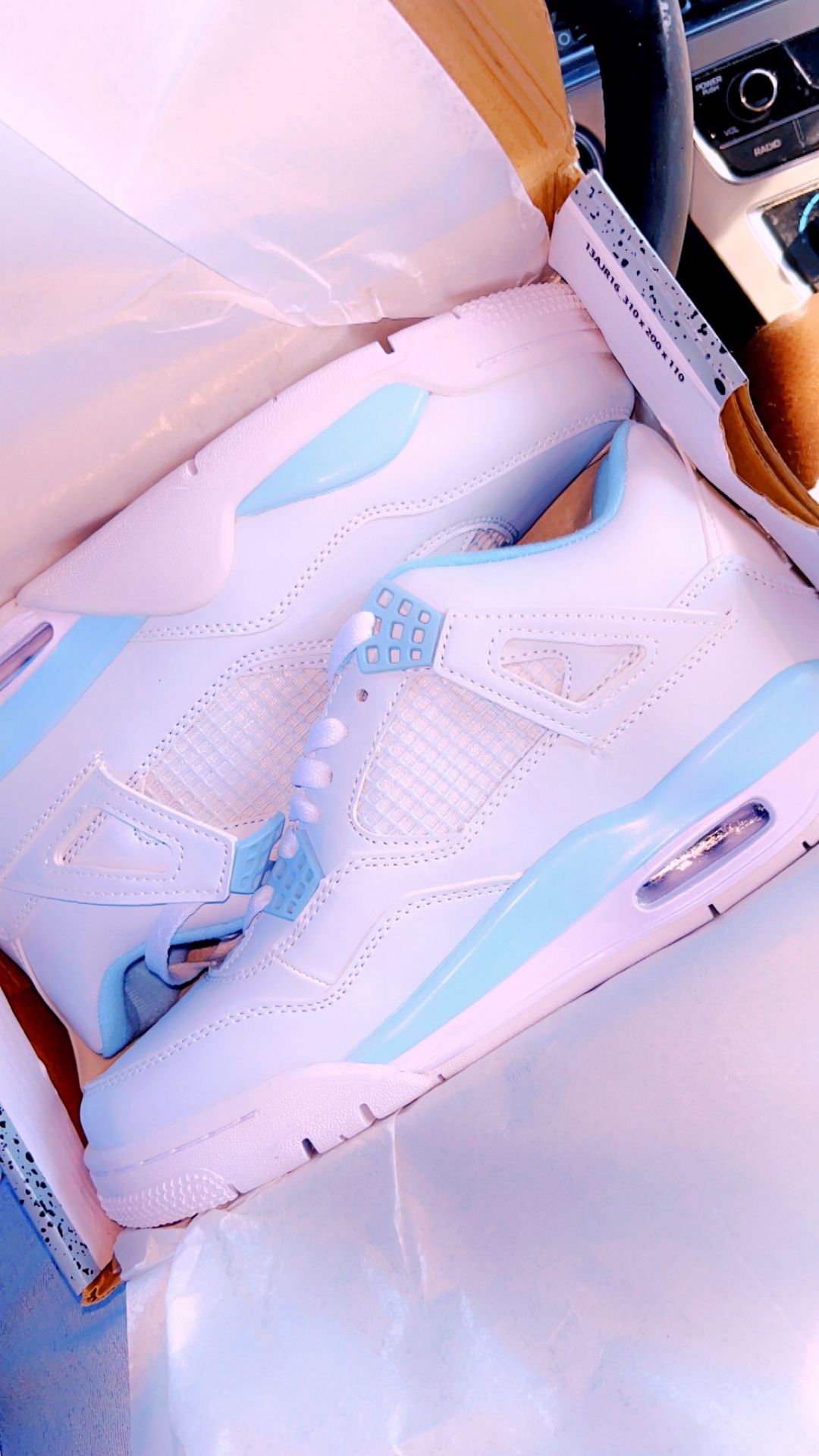 Nike Air Jordan 4s