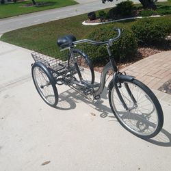 Silver Schwin Meridian Adult Tricycle