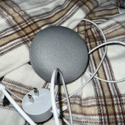 Google Home Mini