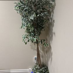 Fake Plant 