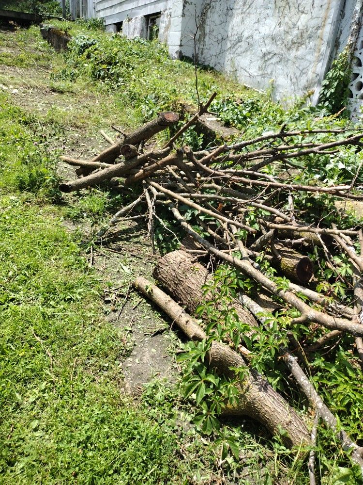 Free Fire Wood