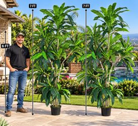 Brand new patio Artificial plants Set
