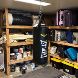 Everlast Punching Bag Boxing 