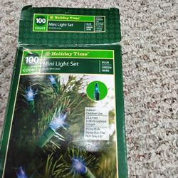 Mini Led Holiday Lights