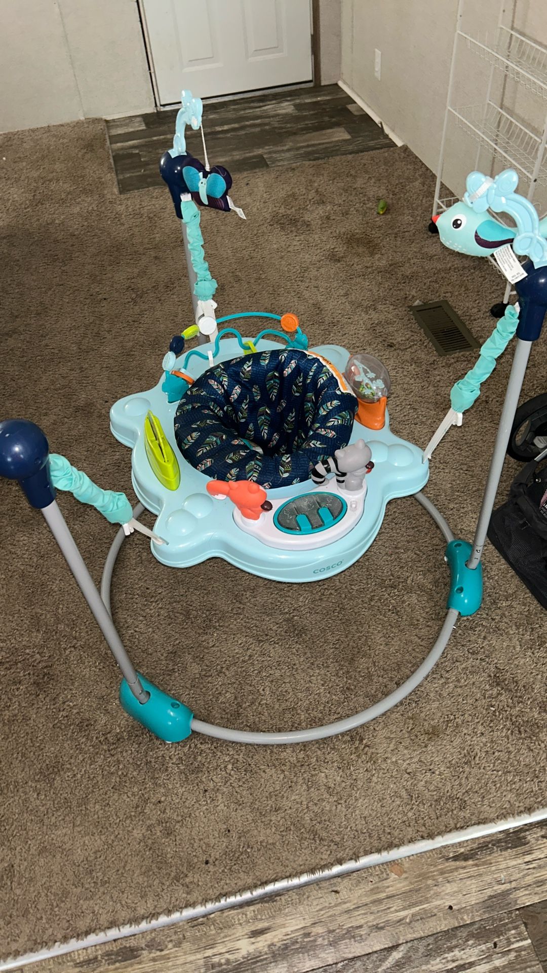 Baby Bouncer 