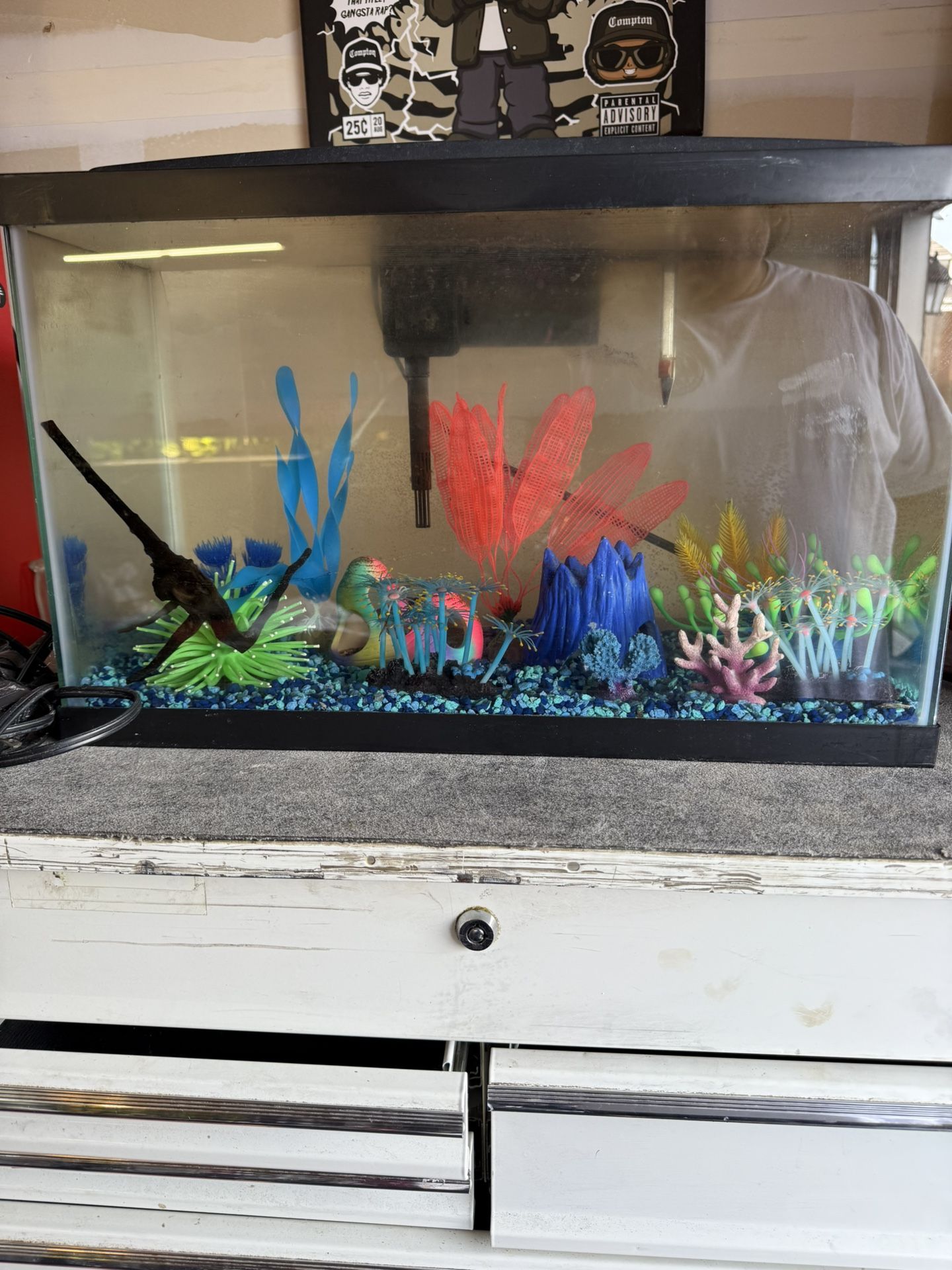 10 Gallon Glo Fish Tank