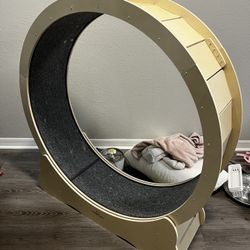 Cat Exercise Wheel – Large – Works Great