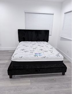 Queen size Bed Frame New 