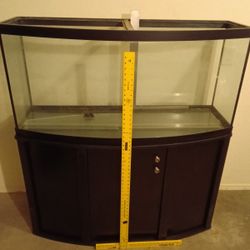 Aquarium & Stand 