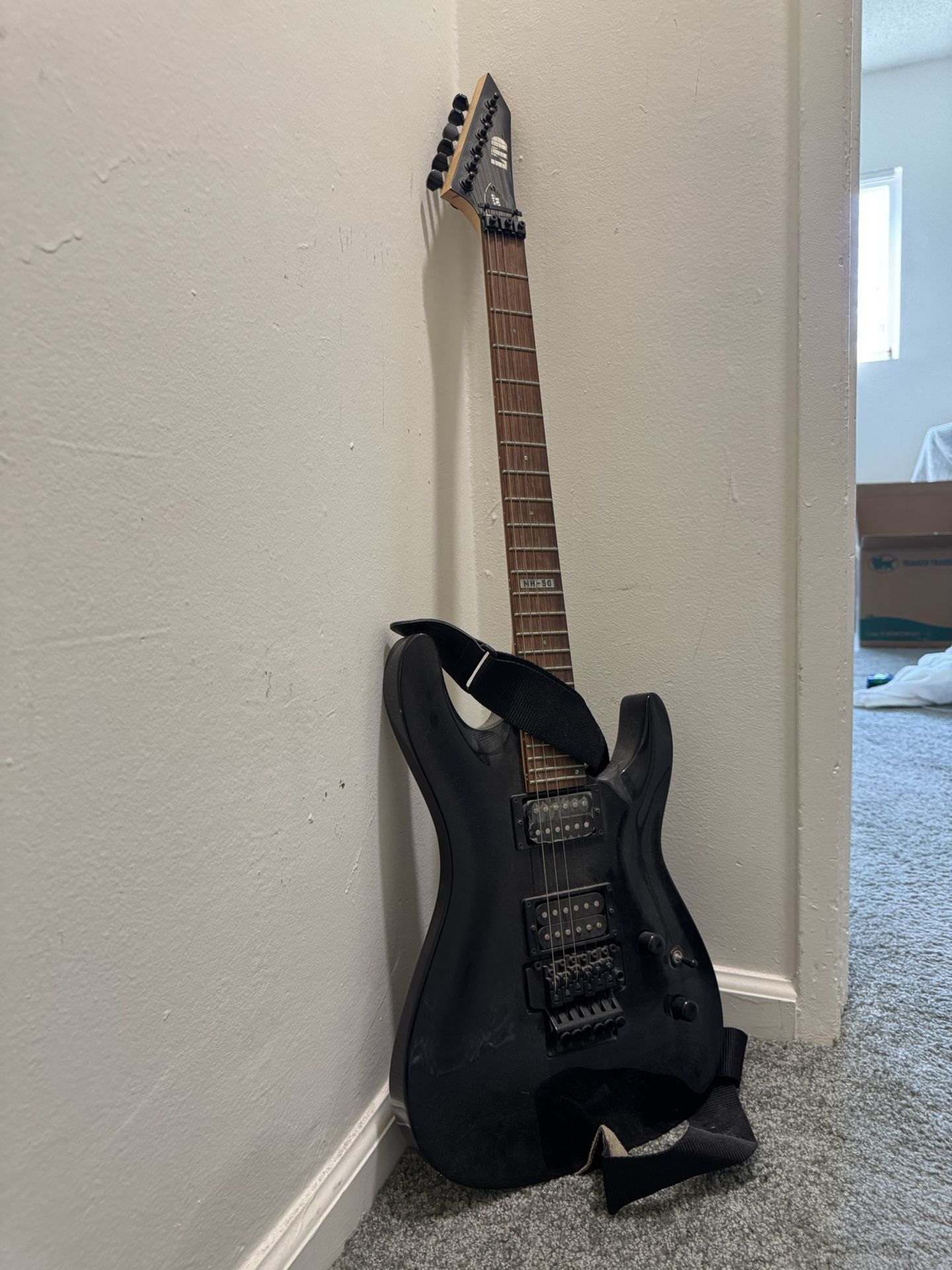 ESP Guitar