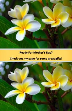 💐 Mother's Day 🎁