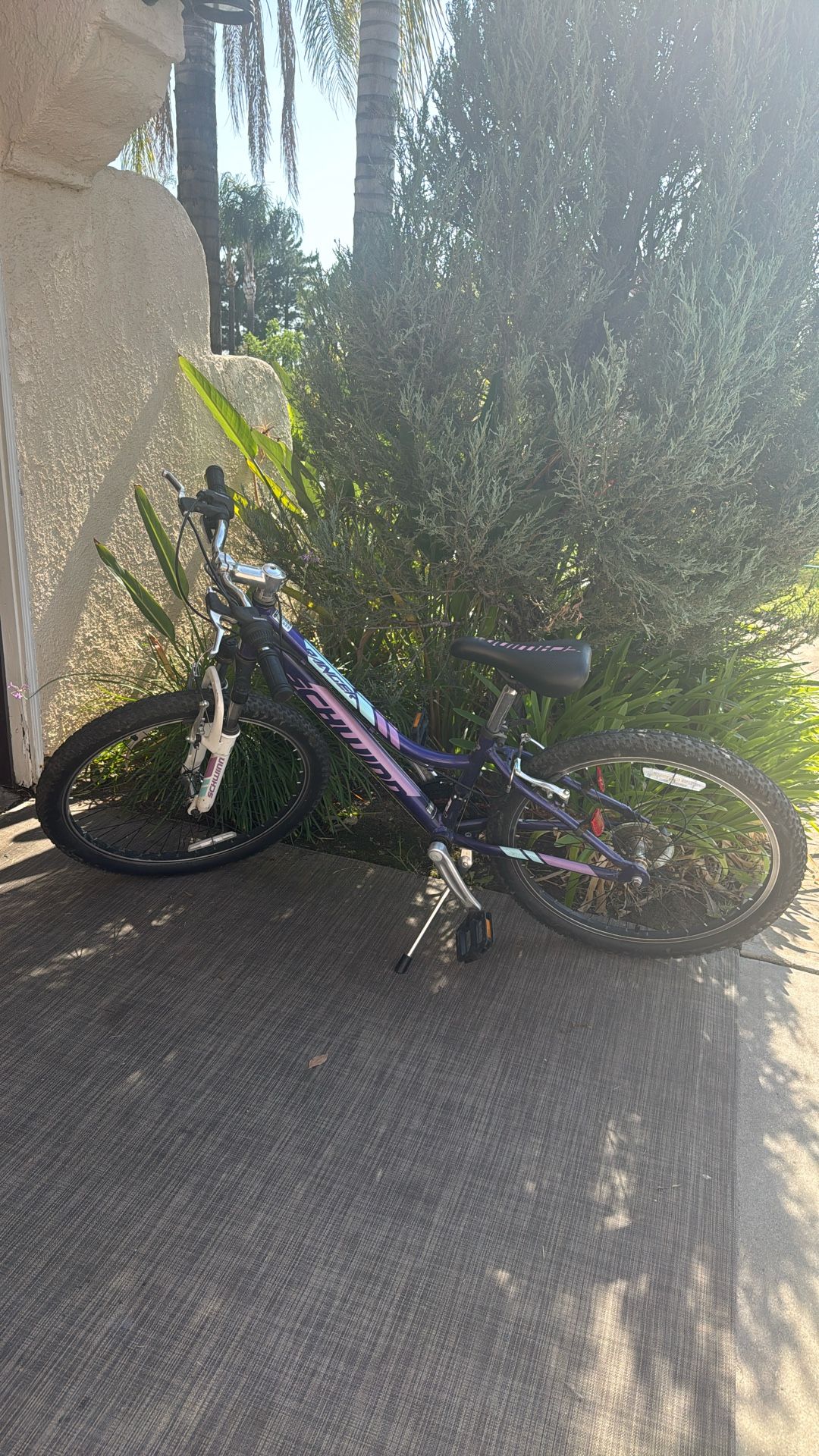 Schwinn Bike