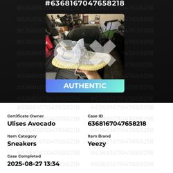 Yeezy Boost 350 V2 “Static”