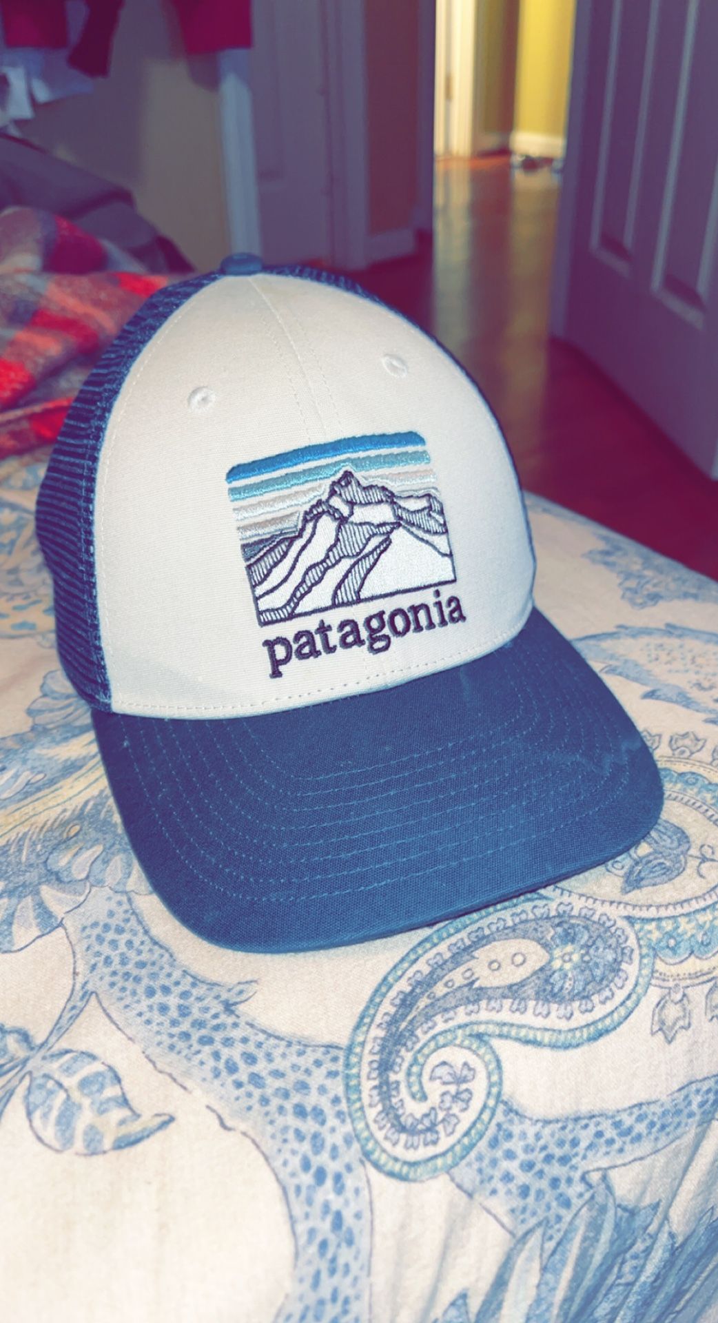 Patagonia Trucker Hat