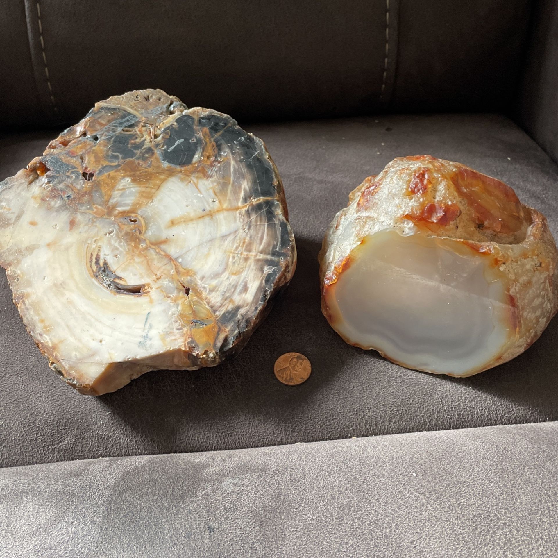 Petrified wood and agate